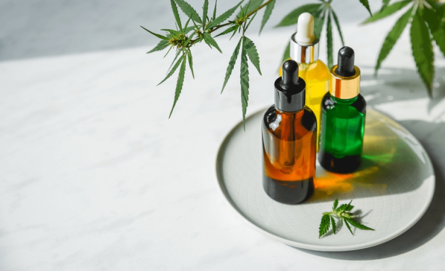 WHAT TO LOOK FOR WHEN CHOOSING A CBD STORE