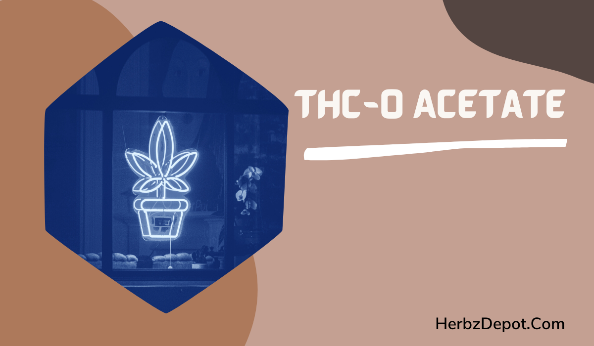 Where To Buy THC-O Acetate In The US?